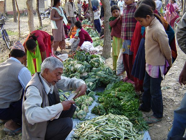 ministry of national food security and research