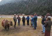 Preserving Traditions and Strengthening Livelihoods through Transboundary Yak Conservation