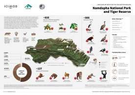 Namdapha national park