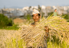 Adaptation and Resilience Building