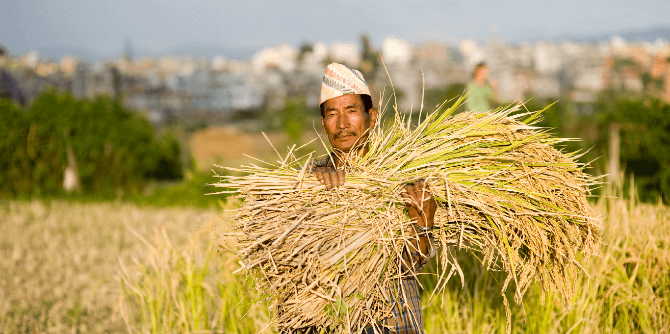 adaptation and resilience