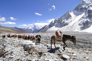 Photo by: Narayan Maharjan/Nepal