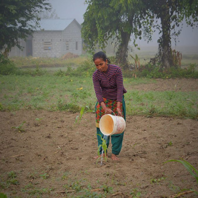 Programme-Component-Climate-Water-Agriculture-Hydropower