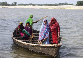 Gender dynamics of female-headed households in rural Bihar, India