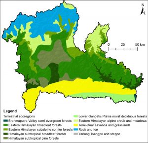 Terrestrial ecoregions map of KL