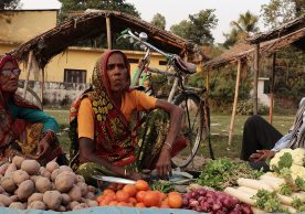 Transboundary Working Groups (TWG)