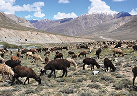 Wakhan National Park