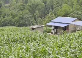 Resilient mountain village