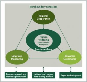 tl workflow