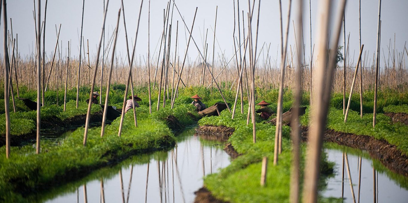 wetlands