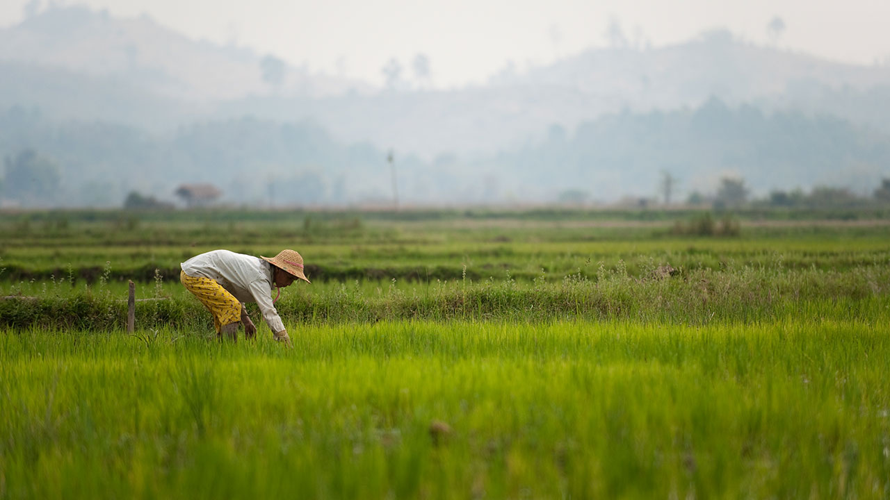 Workshop on environmental and natural resource economics