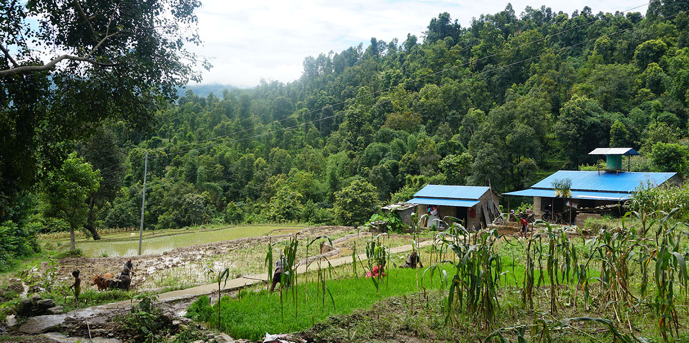 Dhungentar: A Resilient Mountain Village