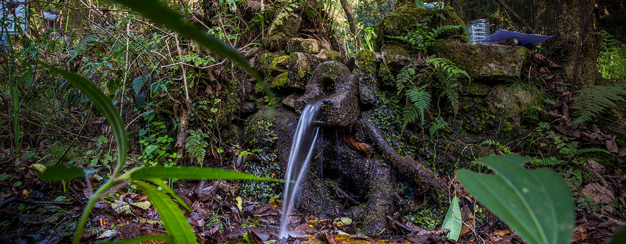 springshed management for water security and resilience