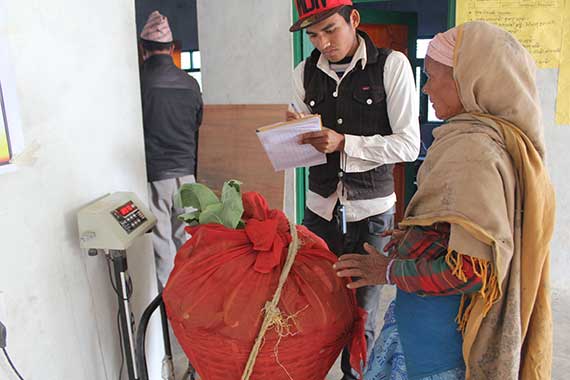 Hariyo Hira Cooperative in Surkhet