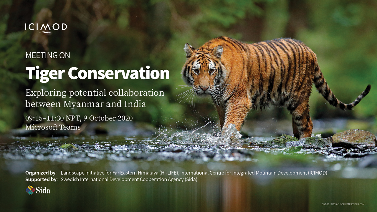 Tiger Conservation