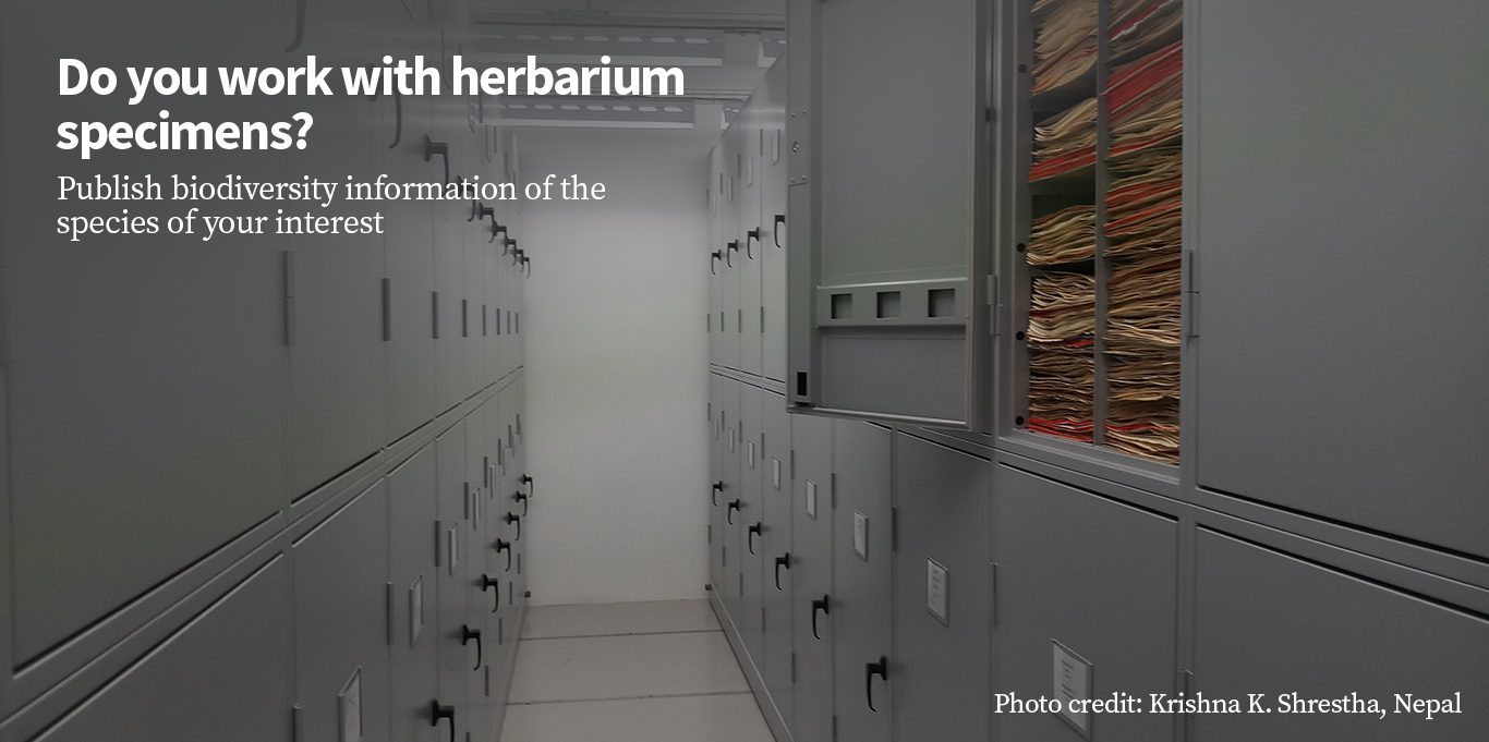 hkhbif herbarium
