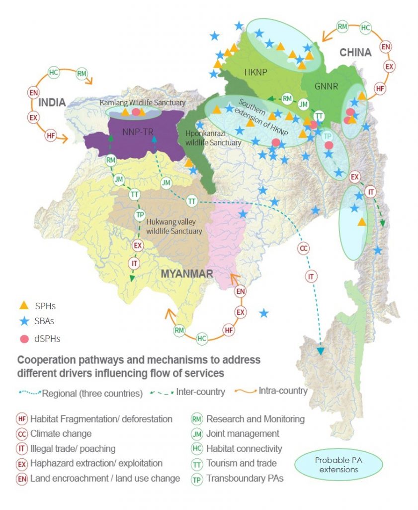 Regional implications of the flow of services