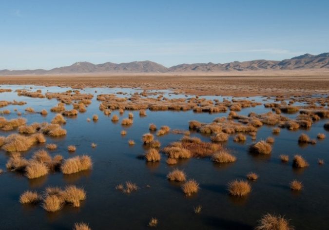 high altitude wetland-1366x681