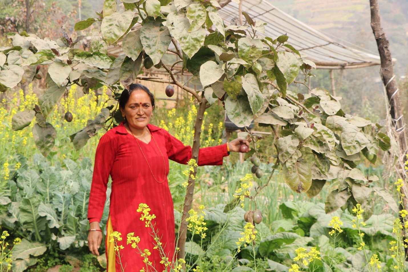 Apsara Adhikari