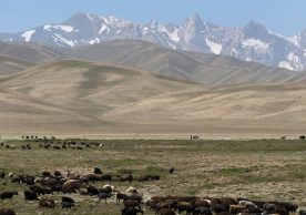 Between Bamiyan and Band-e Amir, Afghanistan