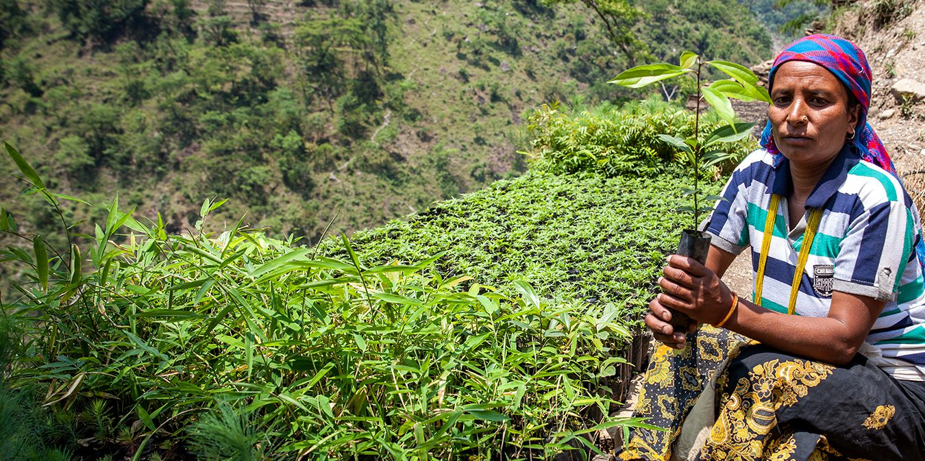 International Biodiversity Day 2021