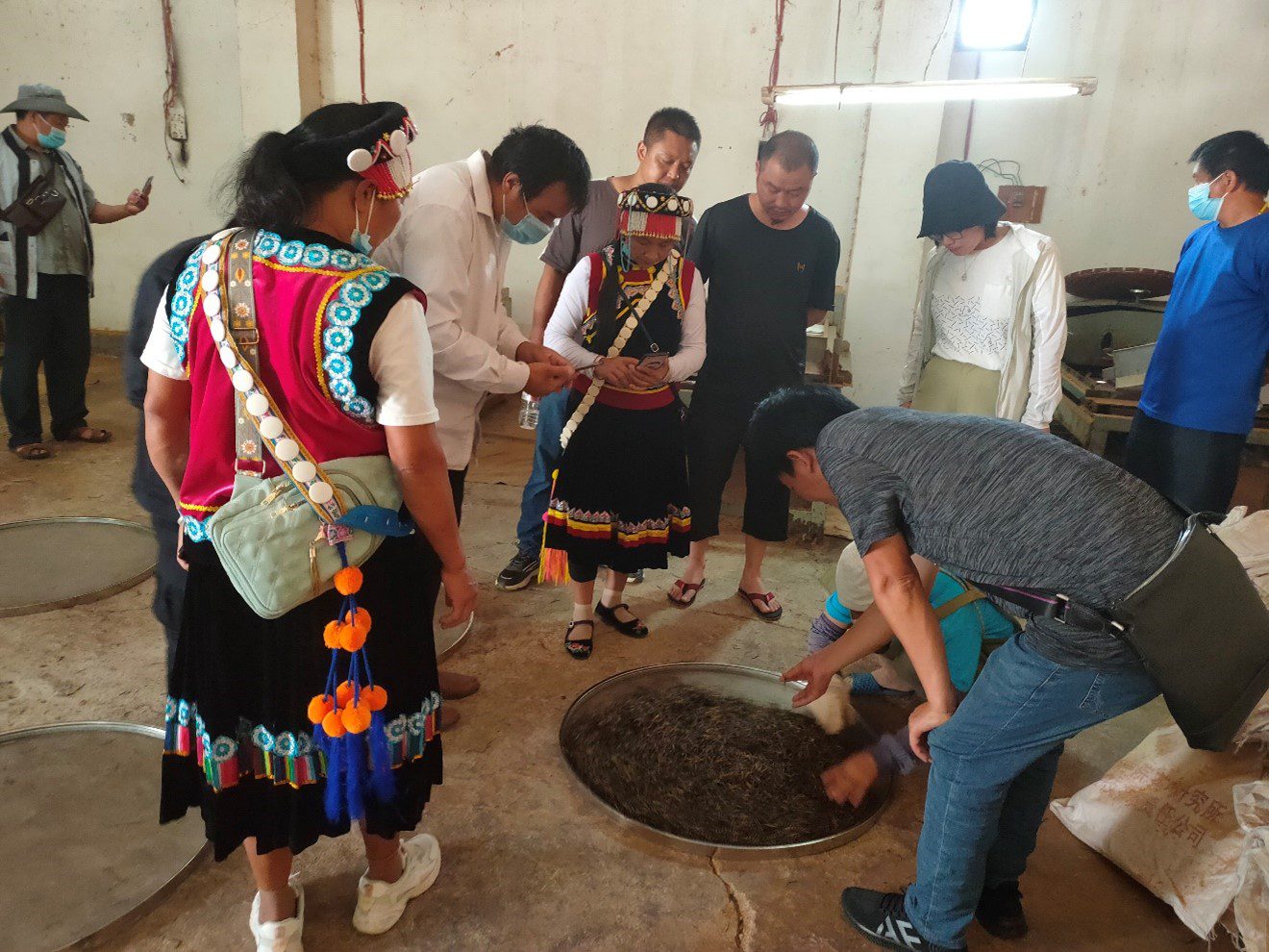 production of black tea