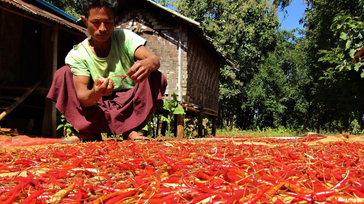 sun drying chilli in Thu Kha Loi Di village