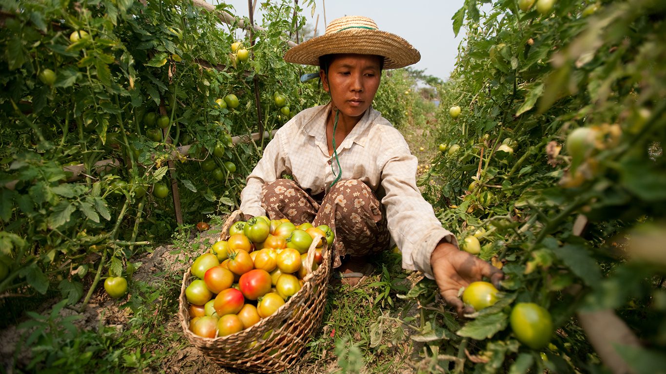 Building Resilience of Agroecosystems and Community Empowerment (BRACE)