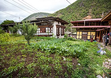 Resilient agriculture and entrepreneurship