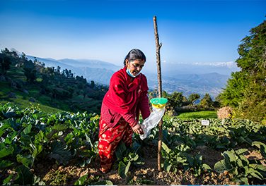 State of Gender Equality and Climate Change in Nepal