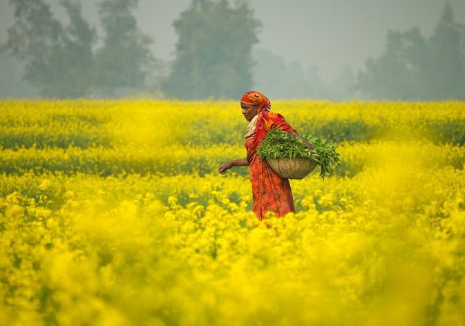 gender dimensions of climate change