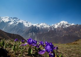 A one-stop digital platform for sustainable tourism and green goods in the Hindu Kush Himalaya