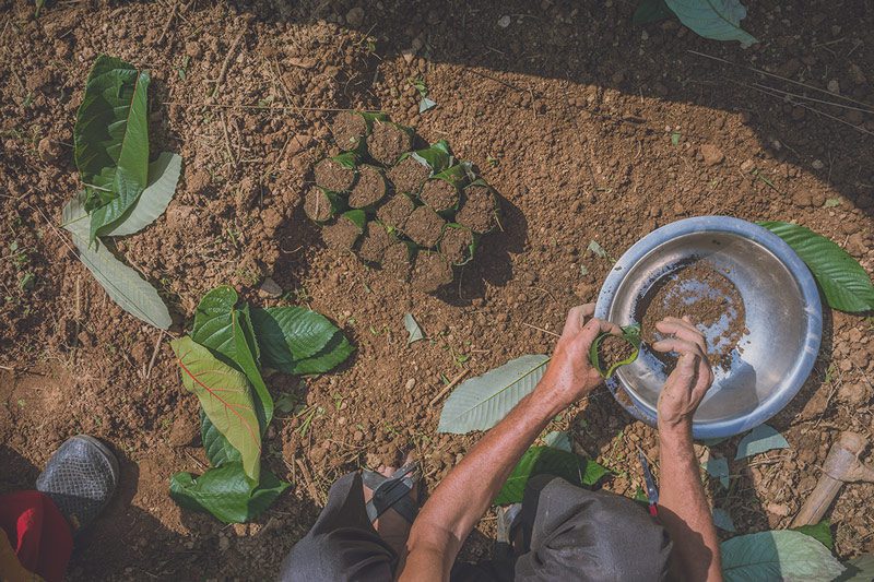 Tackling-plastic-pollution-in-farms-and-nurseries-with-leaf-bags