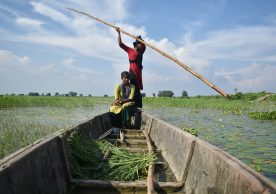 Unsung warriors: Breaking the bias for disaster resilience in the Koshi basin
