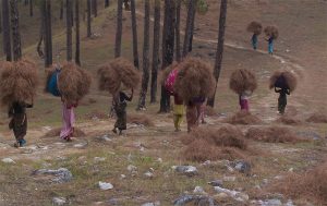 Women power managing the destructive biomass