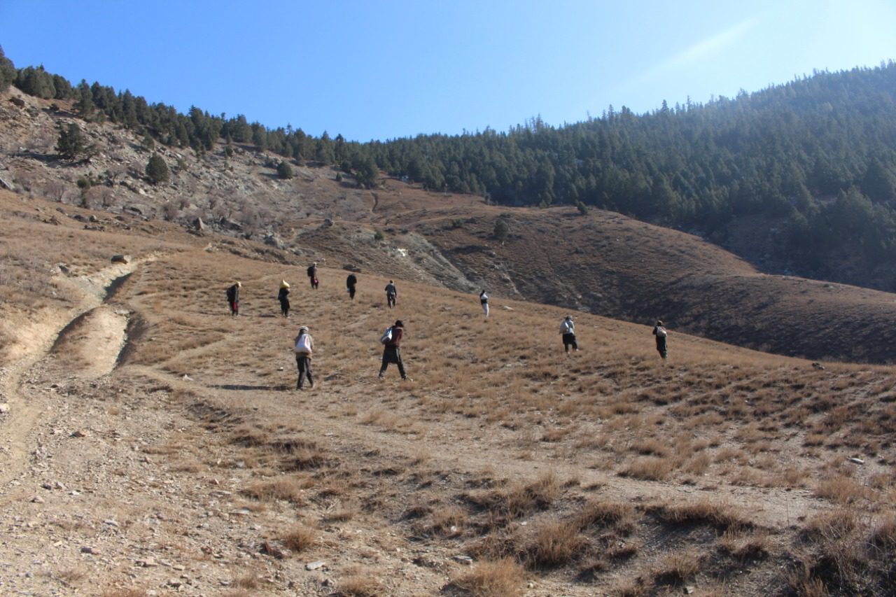 People planting seed balls to restore degraded land