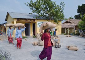 Increasing agricultural viability and climate resilience through community seed banks