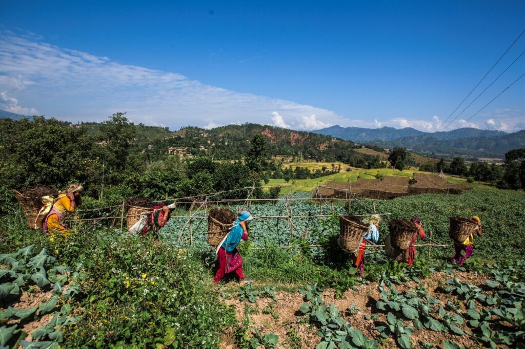 ICIMOD partners with the World Food Programme