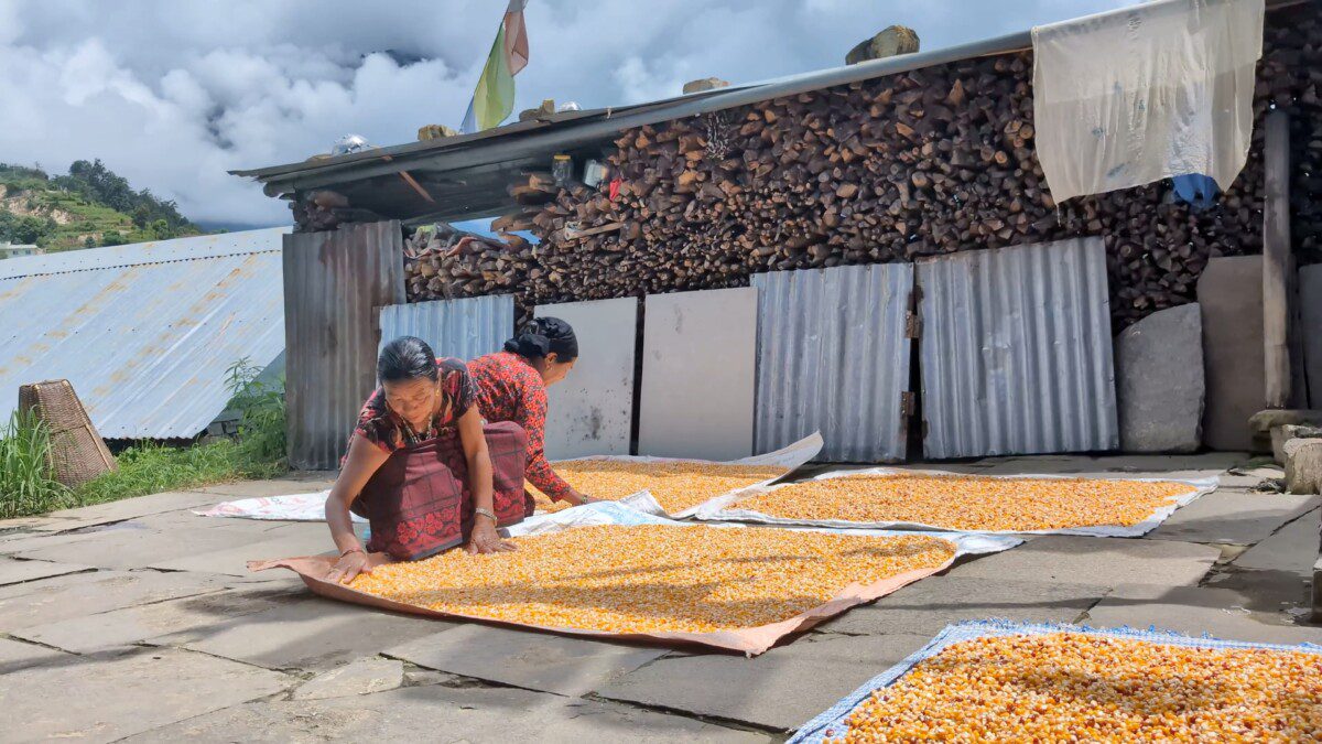 Picturing alternative rural futures: participatory foresight for a future shaped by migration and climate change