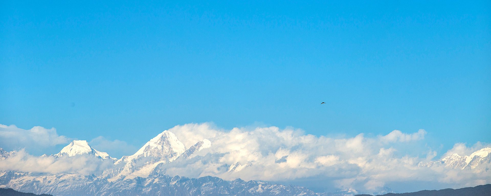 BRINGING BACK BLUE SKIES: OUR CAMPAIGN FOR CLEAN AIR Nepali