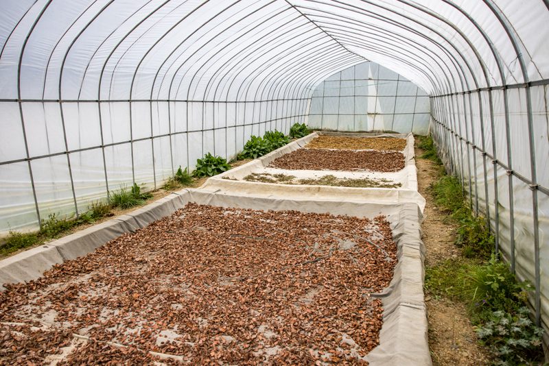 From biodiversity to livelihoods: Bhutan’s bioeconomy pathways