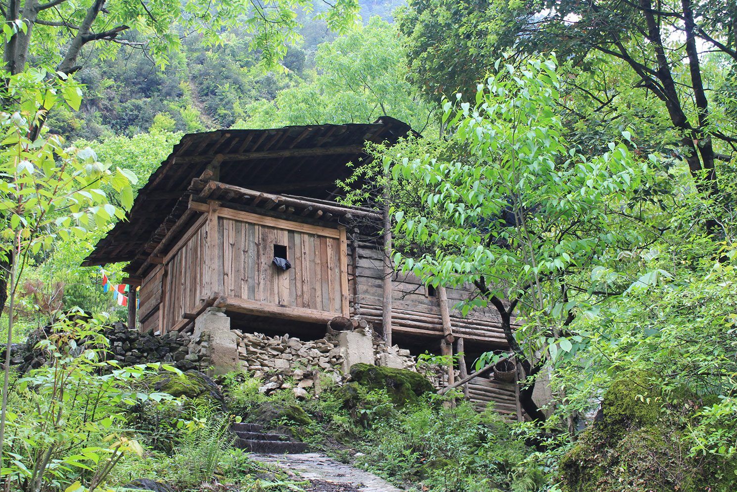 Living-in-harmony-with-nature-Forest-and-natural-vegetation-management-around-villages-in-China-scaled2