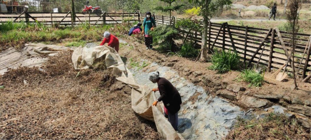 Removing plastics from the ponds 