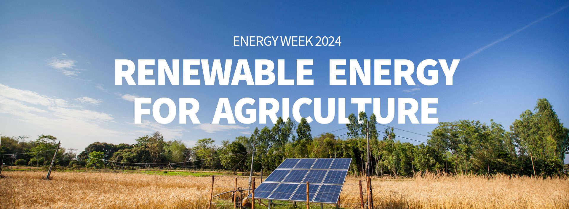 Energy Week 2024