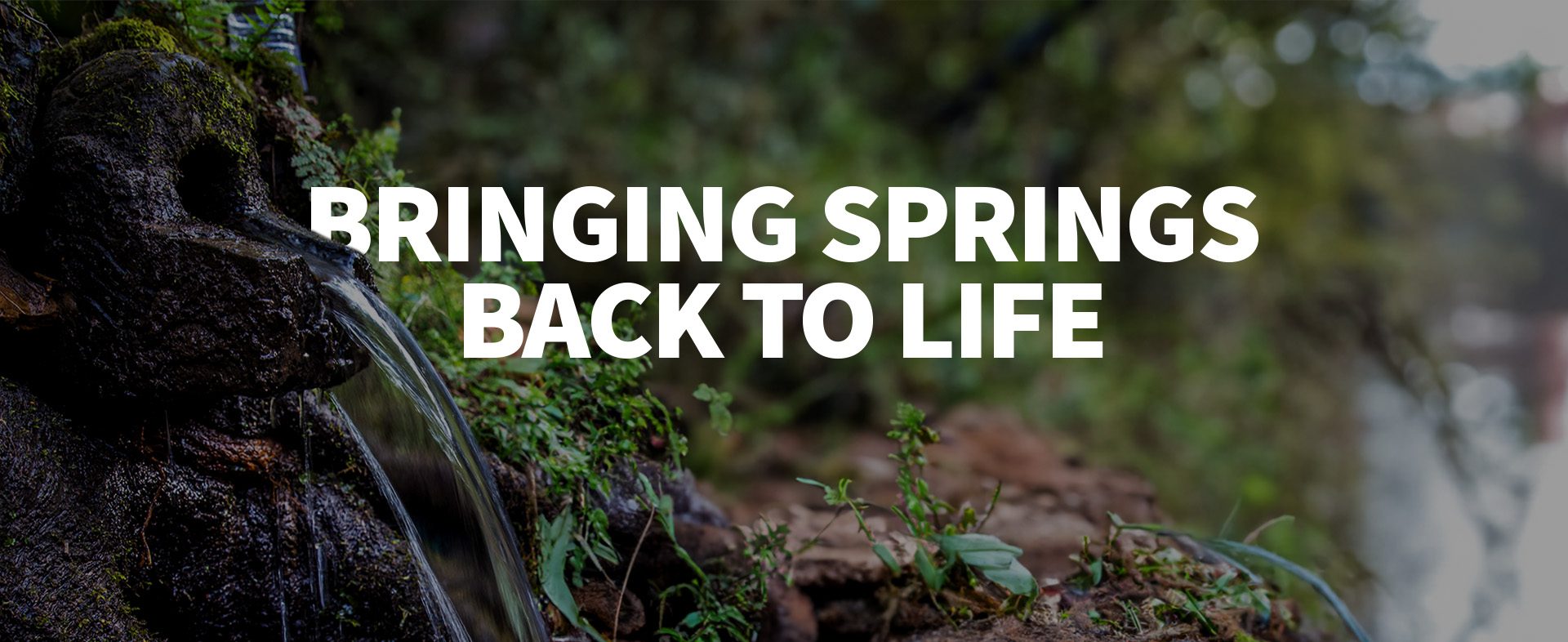 Bringing springs back to life