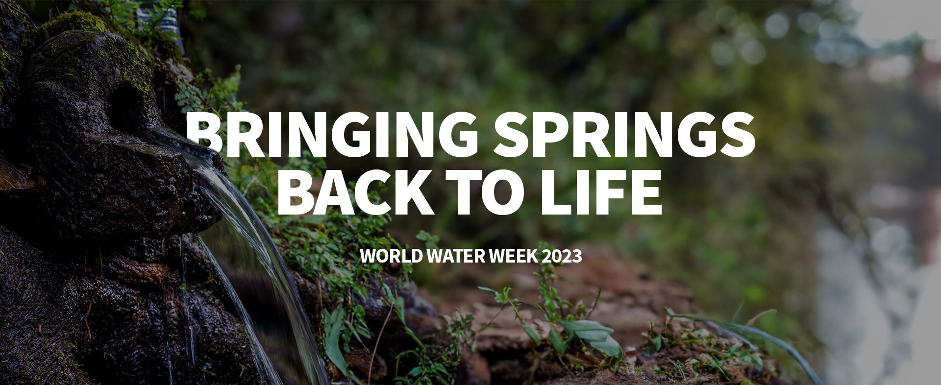 world water week 2023